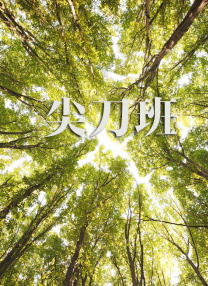 泡沫小女友